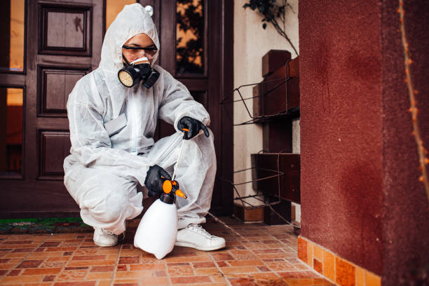 Reliable Wasp Removal contractor in Piedmont, AL by Show Me Pest Control